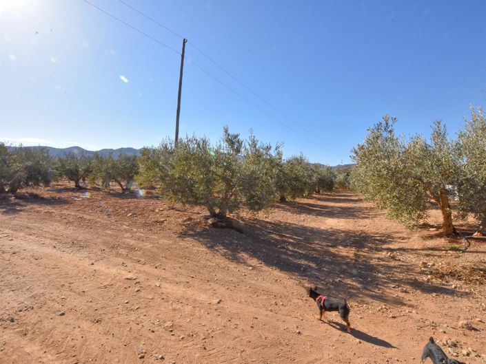 Image No.21-3 Bed Villa for sale