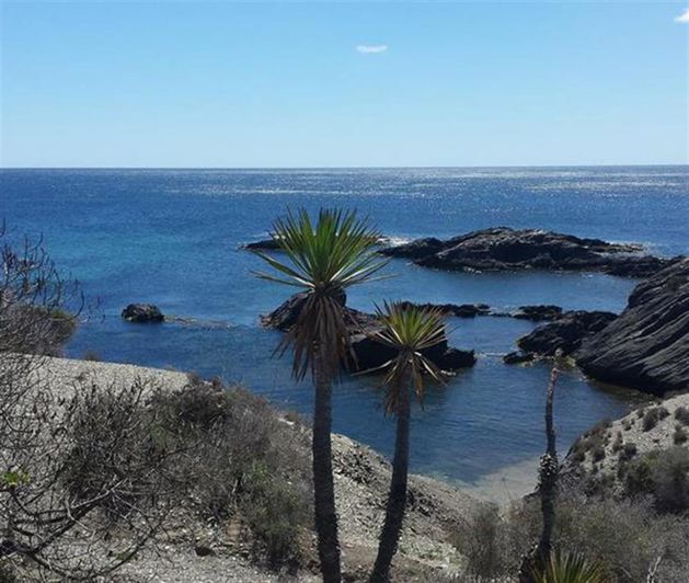 Image No.21-Villa de 3 chambres à vendre à Pozo del Esparto