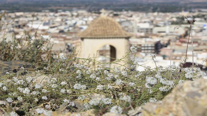Image No.18-Propriété de 2 chambres à vendre à Cox