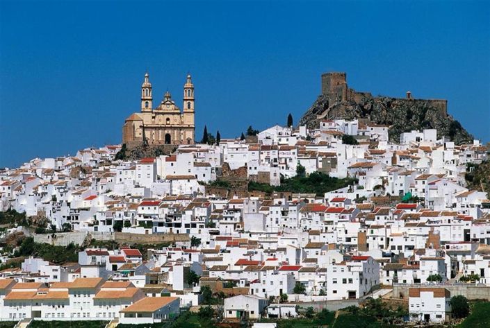 Image No.30-Propriété de 3 chambres à vendre à Aguadulce