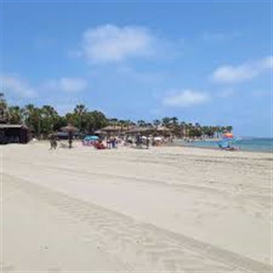 Image No.13-Propriété de 3 chambres à vendre à Torre Pacheco Town