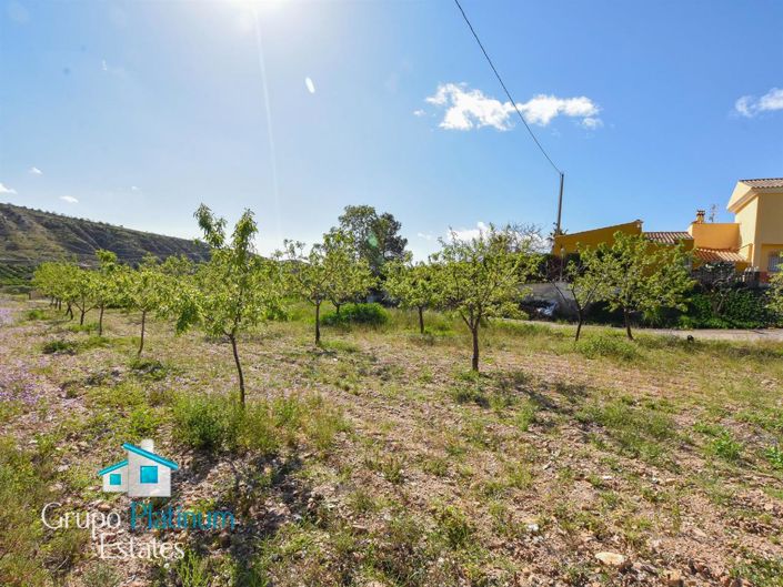 Image No.3-3 Bed Villa for sale