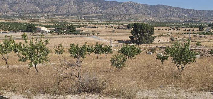 Image No.11-3 Bed Villa for sale