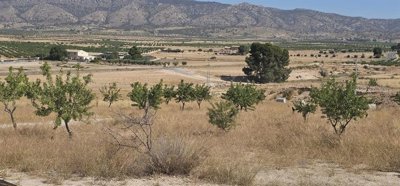 photo-2025-06-27-10-54-13