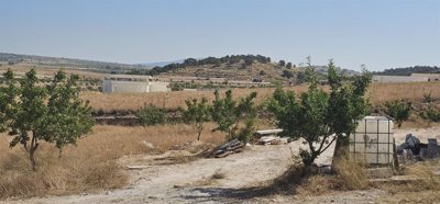 photo-2025-06-27-10-54-131