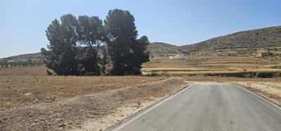 photo-2025-06-27-10-54-10