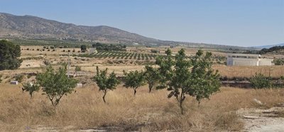 photo-2025-06-27-10-54-132