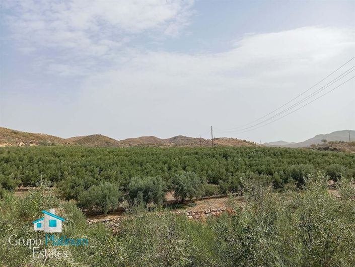 Image No.29-Propriété de 5 chambres à vendre à Lubrín