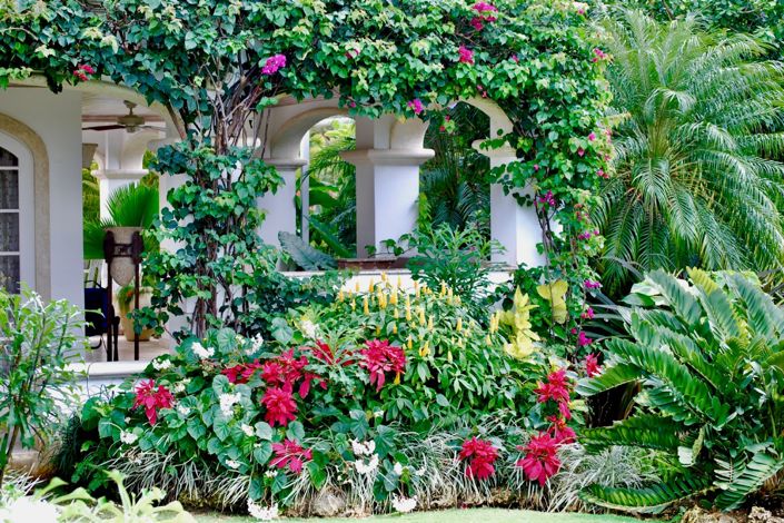 Image No.29-Villa de 5 chambres à vendre à St James