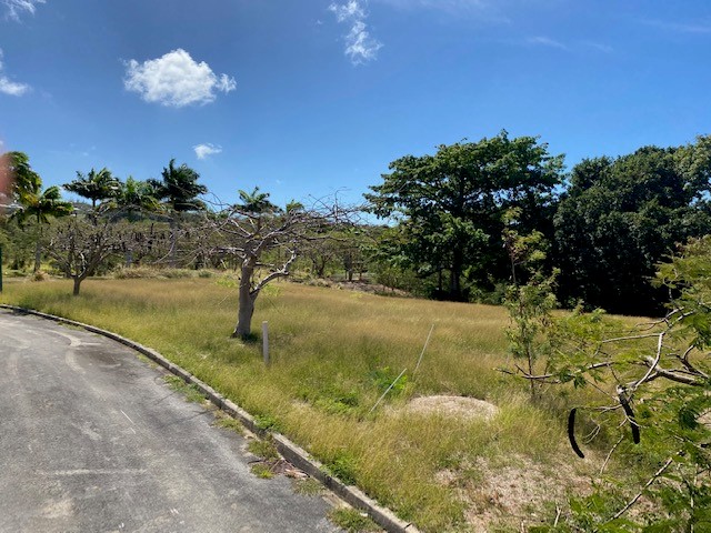 Image No.3-Propriété à vendre à St Peter