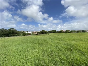 57477-photo2021-08-20212092031204020am