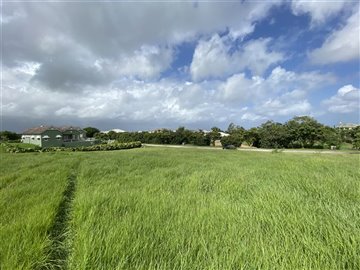 57477-photo2021-08-20212092032201720am