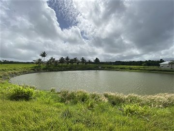 57477-photo2021-08-20212092034200820am