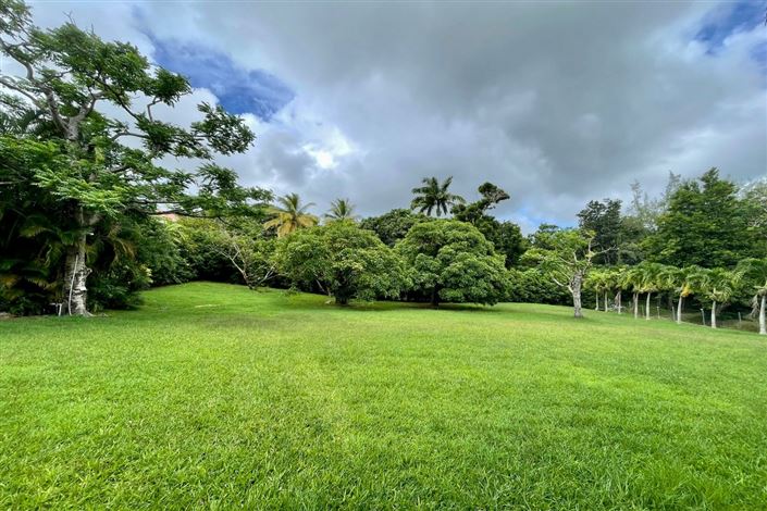 Image No.2-Propriété à vendre à St George