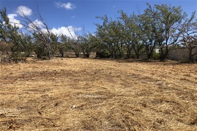 1 - Christchurch, Property