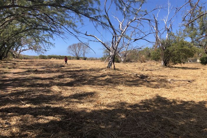 Image No.4-Propriété à vendre à Christ Church