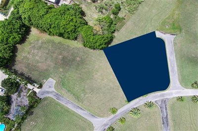 lioncastlepoloestatelot8-03