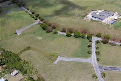 lioncastlepoloestate1920