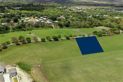 lioncastlepoloestatelot17