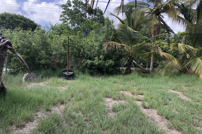 Image No.2-Propriété à vendre à St George