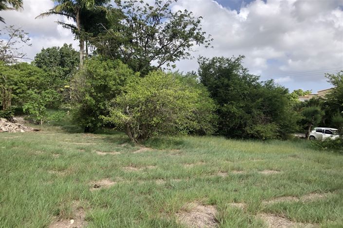 Image No.3-Propriété à vendre à St George