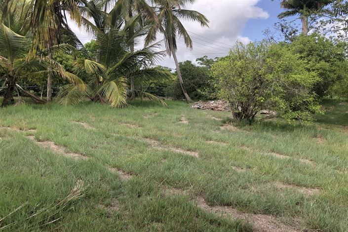 Image No.4-Propriété à vendre à St George