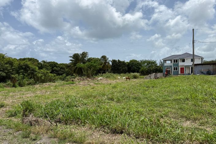 Image No.4-Propriété à vendre à St Thomas