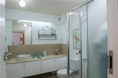 saintlawrencecondo16bathroom