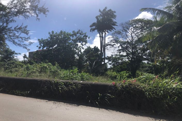 Image No.6-Propriété à vendre à St John