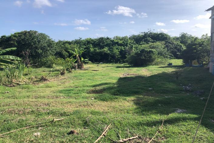 Image No.3-Propriété à vendre à St Philip