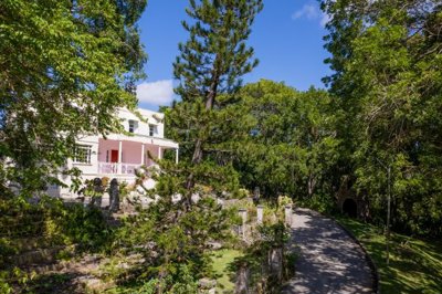hilbury-tree-lined-driveway