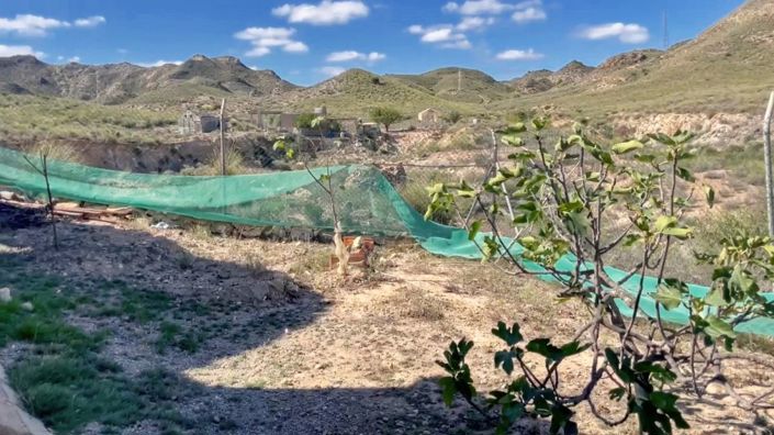 Image No.19-Propriété de pays à vendre à Huercal-Overa