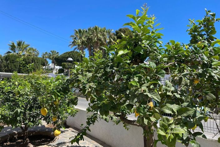 Image No.43-Villa de 5 chambres à vendre à Mojacar