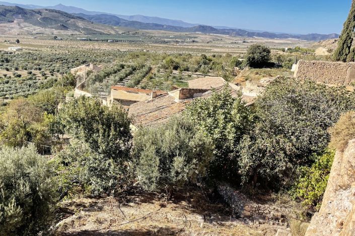 Image No.21-Propriété de pays à vendre à Oria