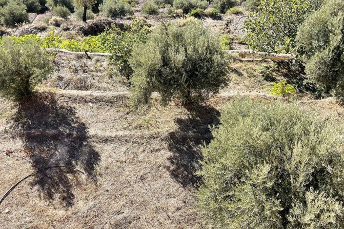 Image No.22-Propriété de pays à vendre à Oria