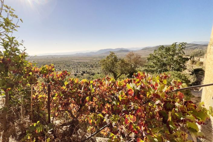 Image No.24-Propriété de pays à vendre à Oria