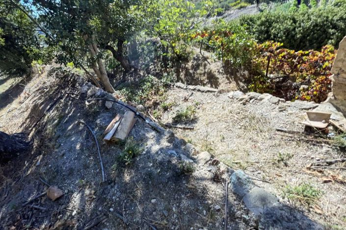 Image No.25-Propriété de pays à vendre à Oria