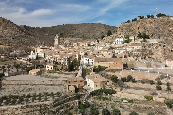 Image No.32-Propriété de pays à vendre à Oria