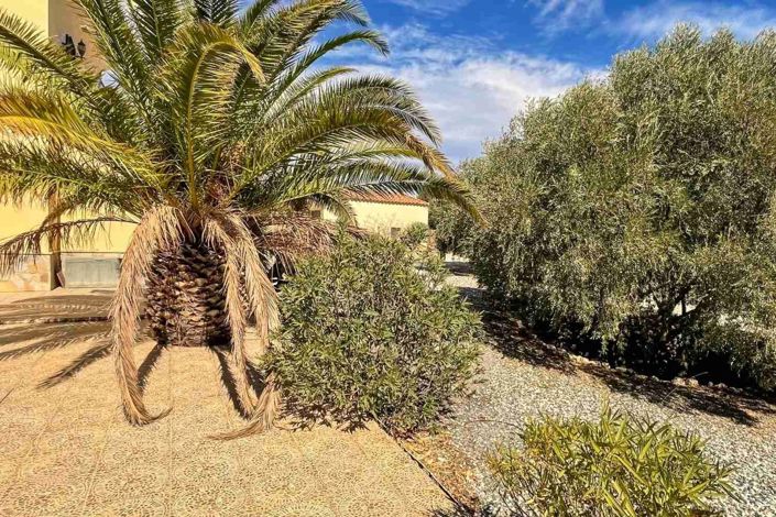 Image No.34-Villa de 3 chambres à vendre à Albox