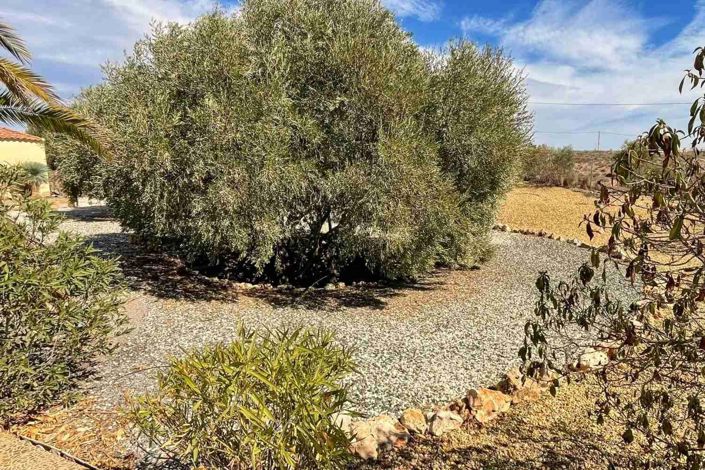 Image No.35-Villa de 3 chambres à vendre à Albox