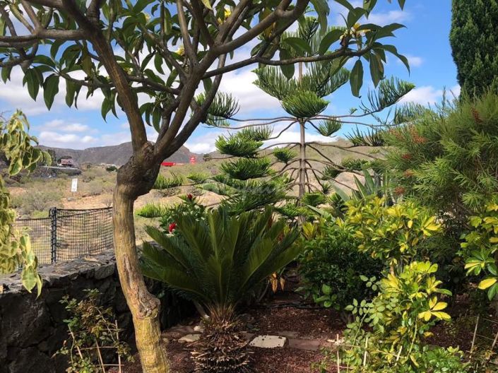 Image No.55-Maison de ville de 4 chambres à vendre à Los Cristianos