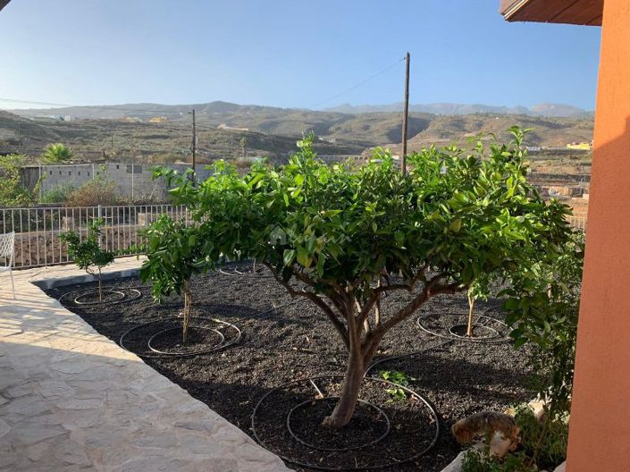 Image No.14-Maison de campagne de 7 chambres à vendre à El Roque