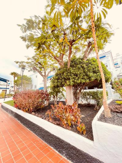 Image No.32-1 Bed Apartment for sale