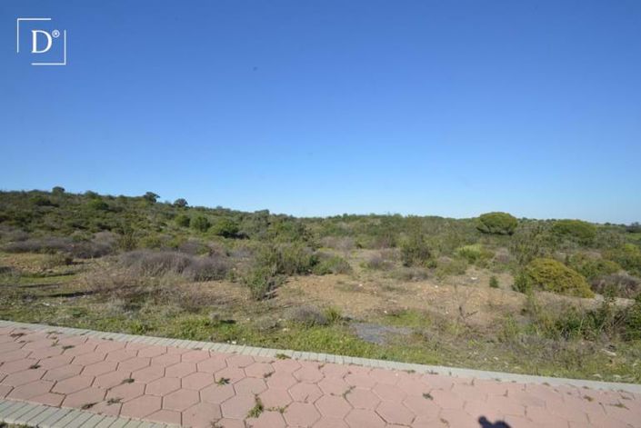 Image No.10-Terre à vendre à Vila Nova de Cacela