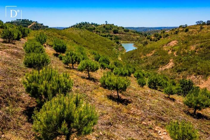Image No.12-Villa de 3 chambres à vendre à Silves
