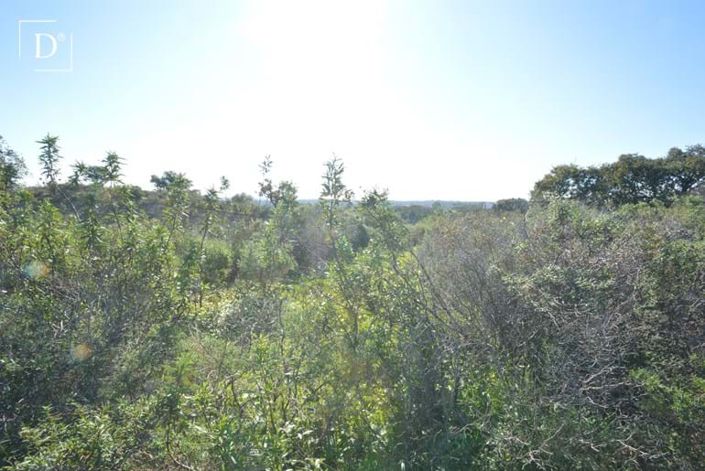 Image No.7-Terre à vendre à Vila Nova de Cacela