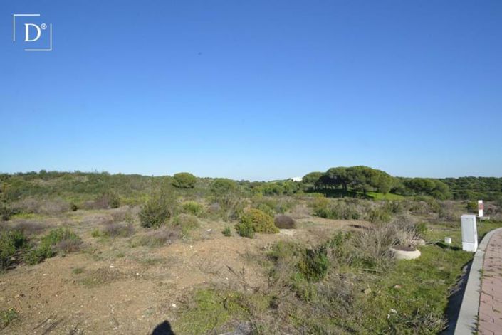 Image No.4-Terre à vendre à Vila Nova de Cacela