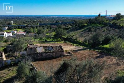 1-11116-a6143ebb3cb0547d86cbab874af8e5c603a53