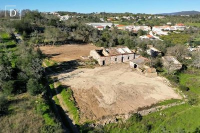 1-11116-a6143ebb3cb0547d86cbab874af8e5c603a53