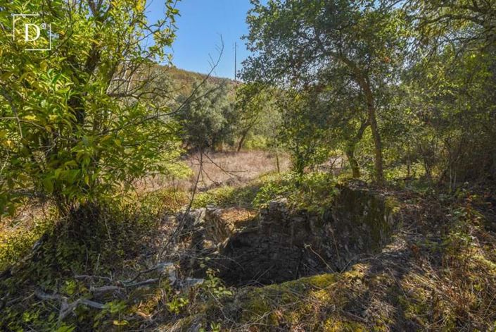 Image No.22-Villa de 5 chambres à vendre à Ourique